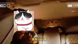 女乘客打网约车，要求司机开车上楼
