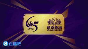 足协杯-德尔加多制胜球 山东泰山1-0河南嵩山龙门占先机
