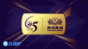 足协杯-德尔加多制胜球 山东泰山1-0河南嵩山龙门占先机