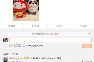 翟晓川晒冰墩墩与雪容融：如果我再有 就给大家抽奖